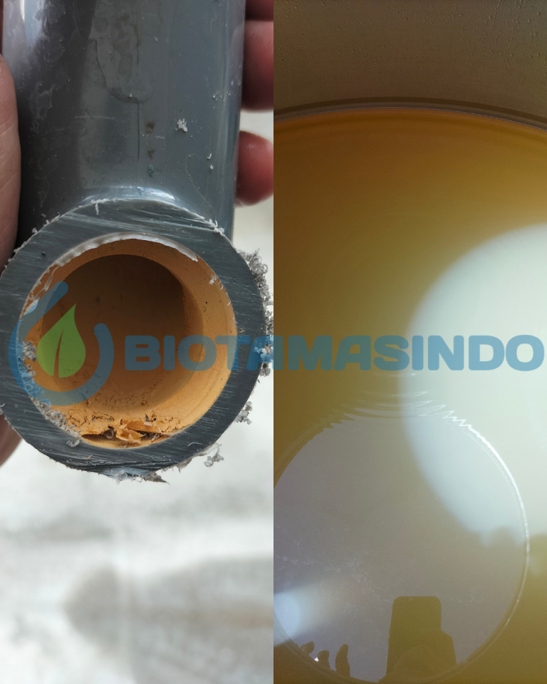 Filter Air Biotamasindo Kos Eksklusif - Margorejo Tempel Sleman