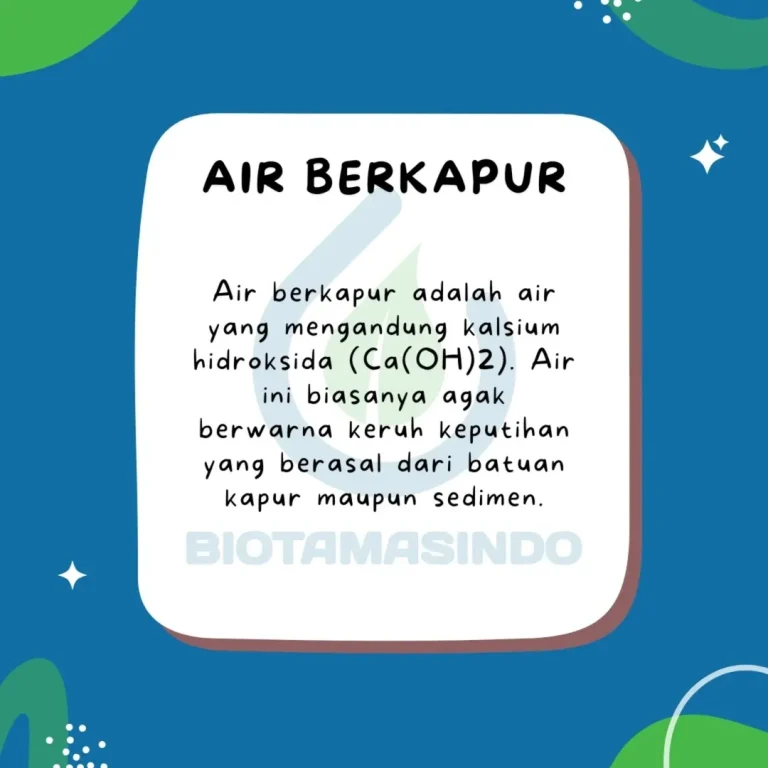 Ciri ciri air berkapur - mengandung (Ca(OH)2)